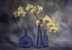 lydia jacobs 清荷 油画风格摄影作品,每张都是精美大作